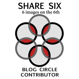 Share Six Contributor